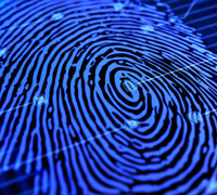 fingerprints